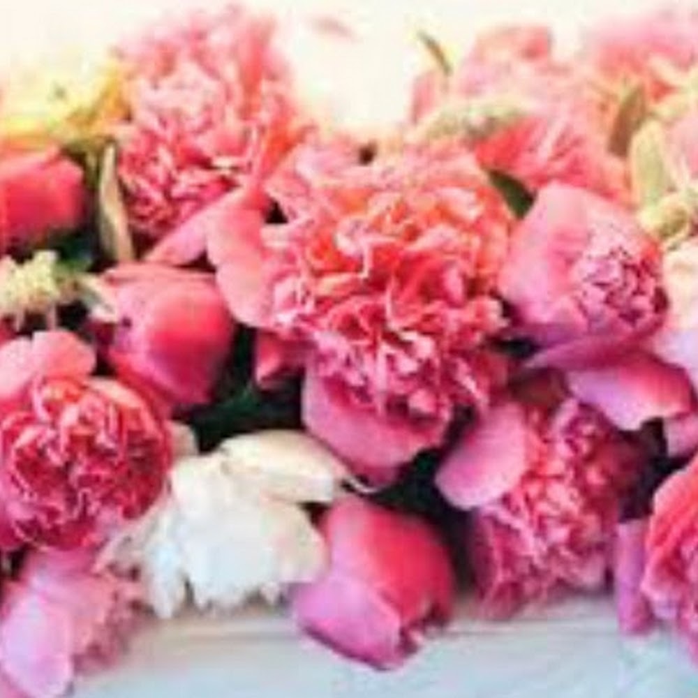 Meet your Posher, Catherine